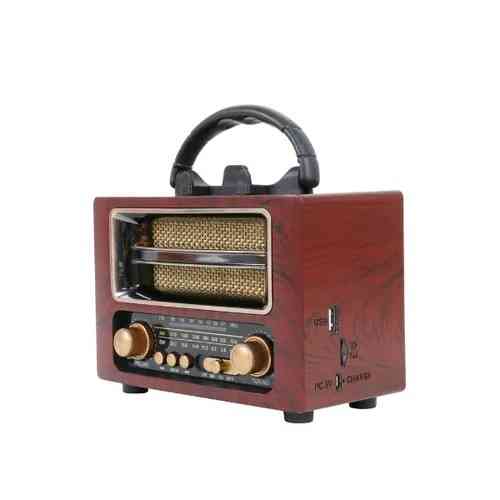 Wood FM tune portable speaker
