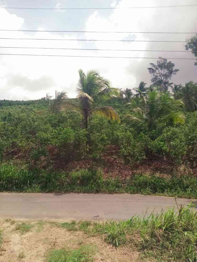 Land for sale in beliatta