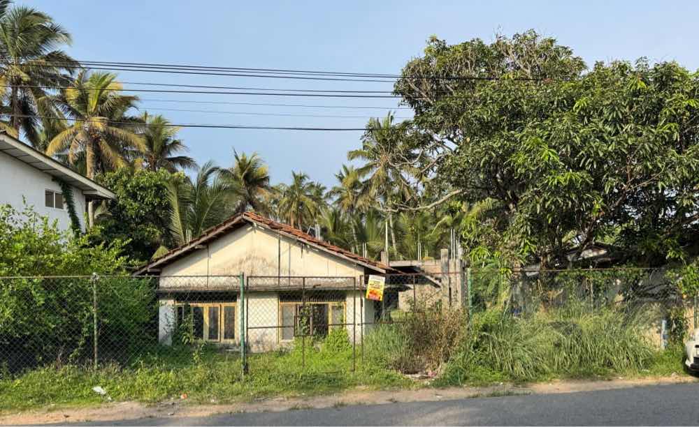 Land and build for rent