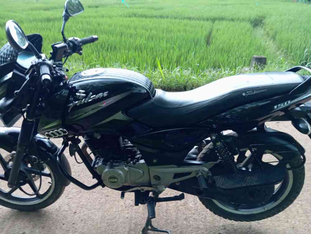 Pulser 150