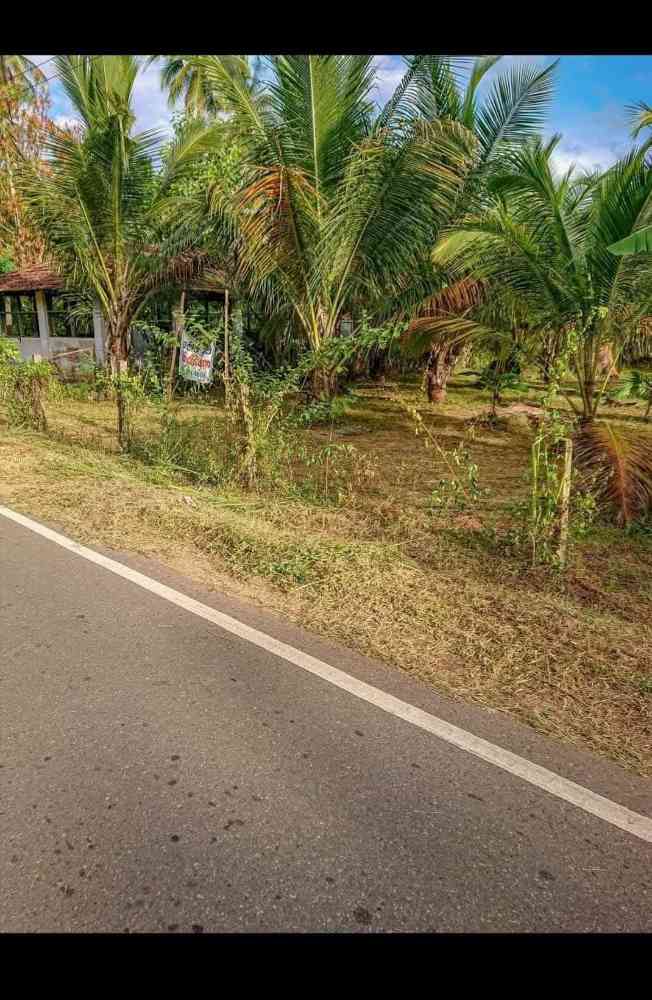Land for sale in ibbagamuwa