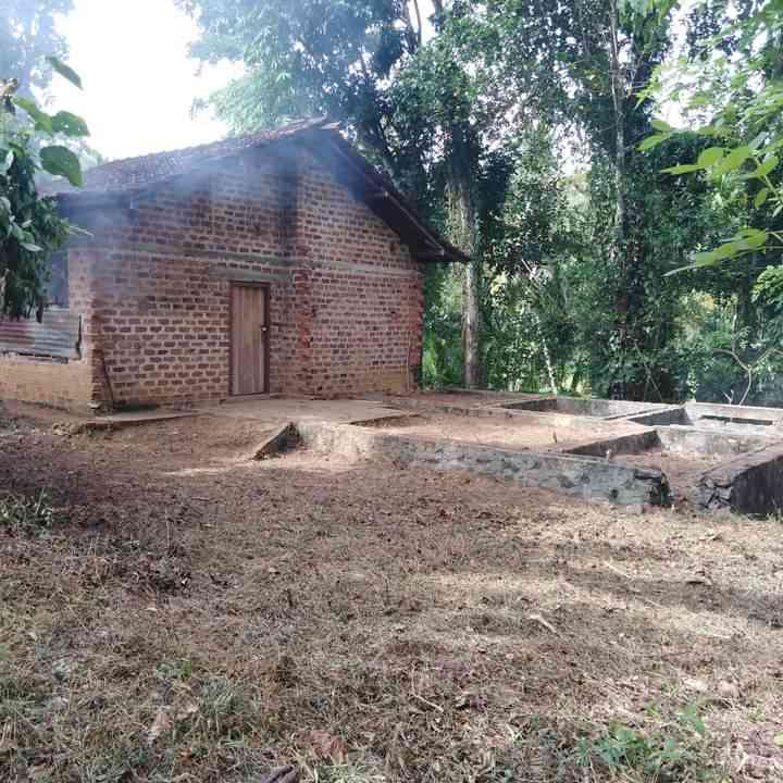 House for sale narammala
