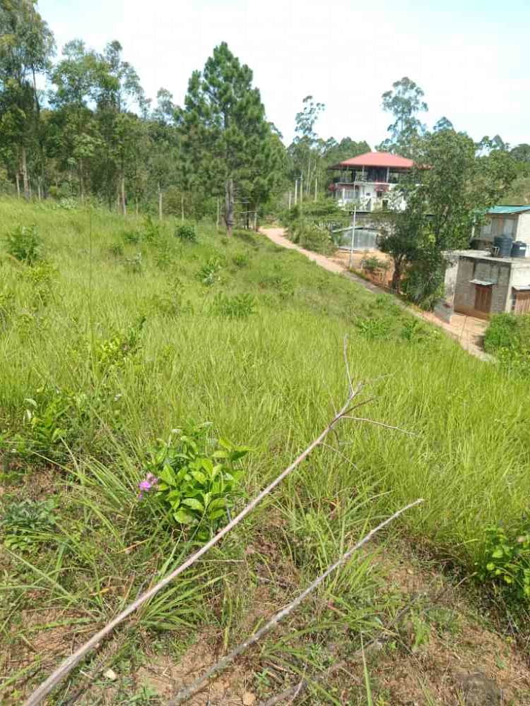 Land for sale in welimada