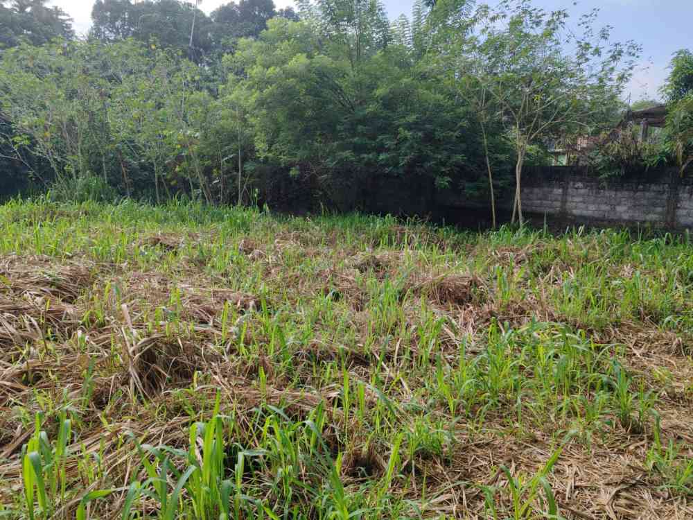 Waterfront land for sale in pinnawala tourist area