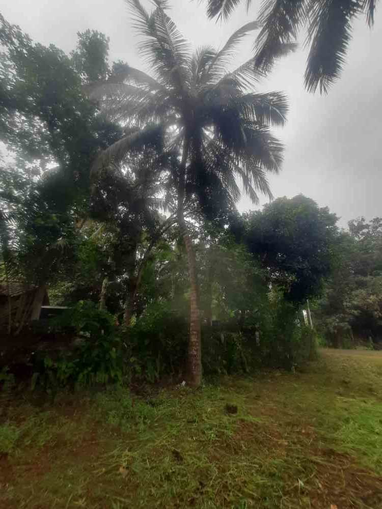 Land for sale in anuradhapura
