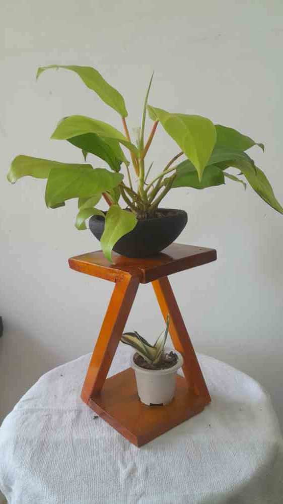 Uncommon wood flower vase