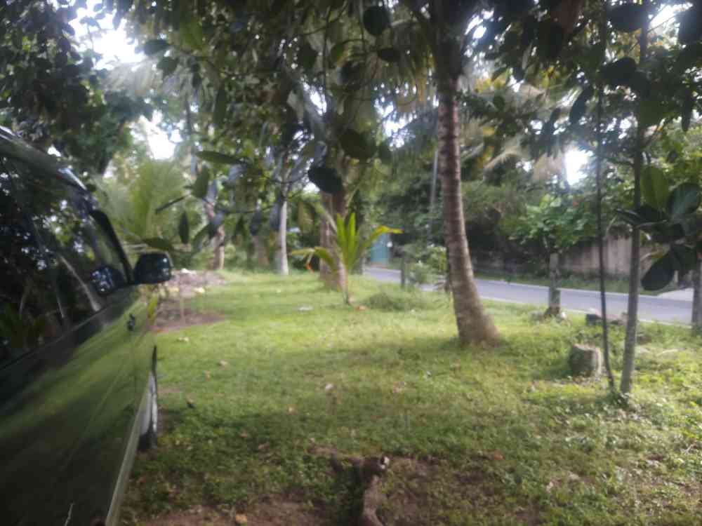 Land for sale in pannipitiya
