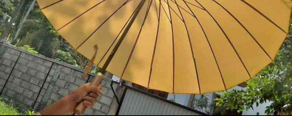 Japanese Umbrella