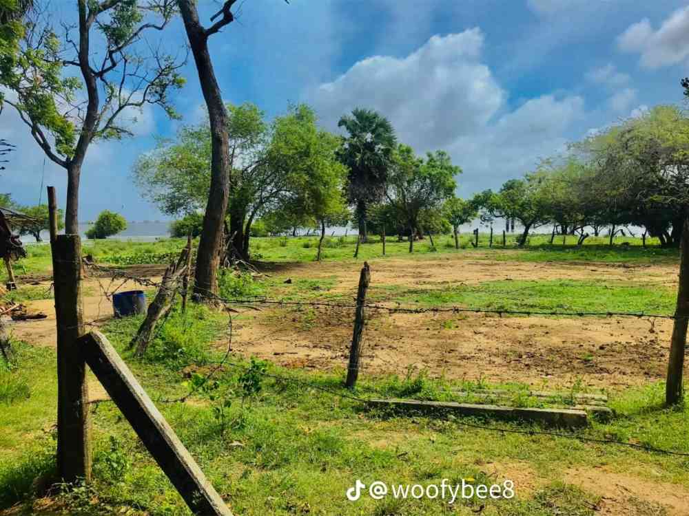 26 Perch land for sale