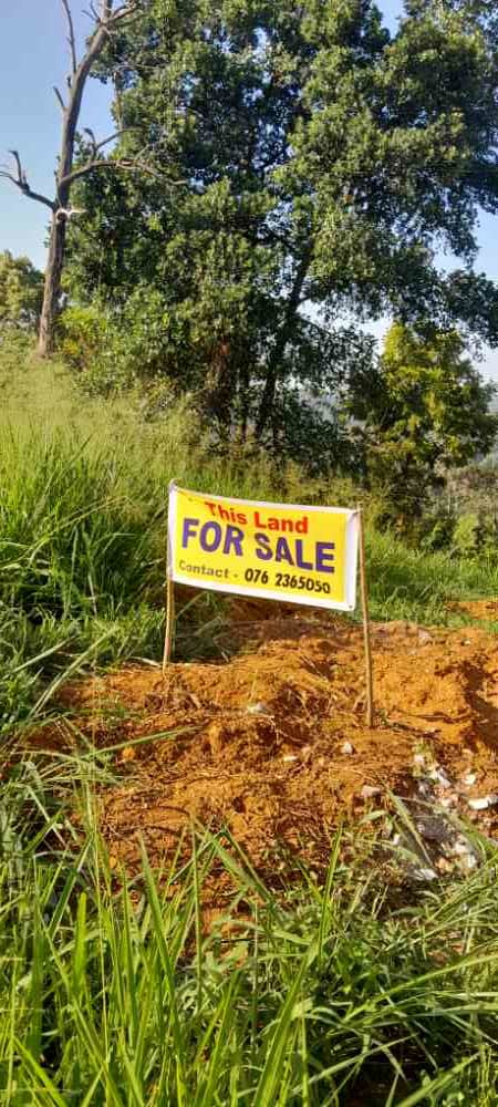 Land for sale