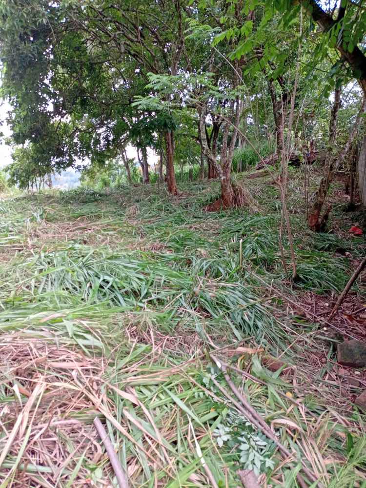Land for sale in ampitiya