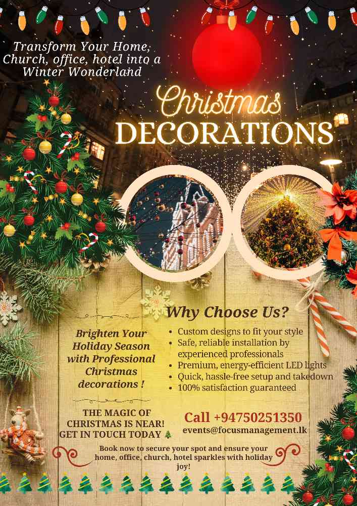 Professional christmas decorations