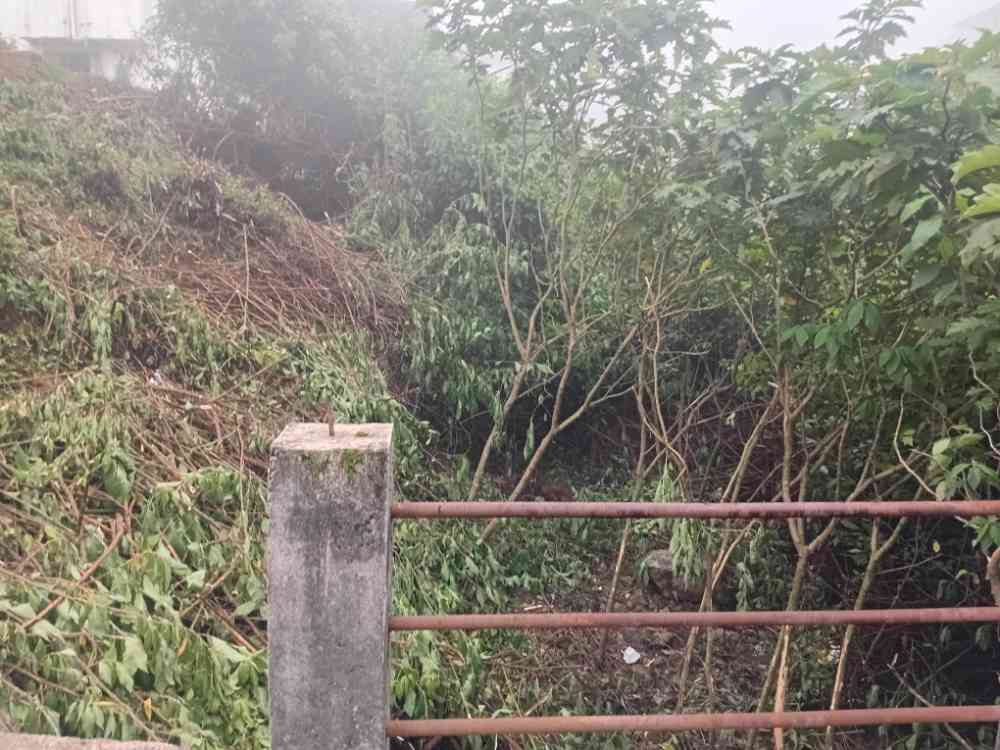 Land for sale