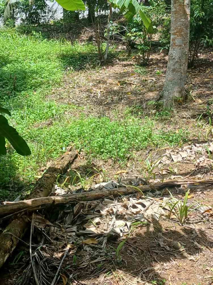 Land for sale in karapitiya