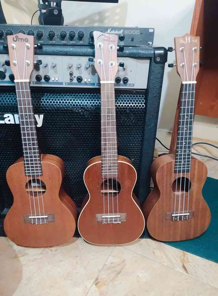 Ukulele with peded bags