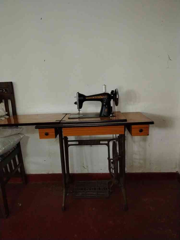 Singer swing machine