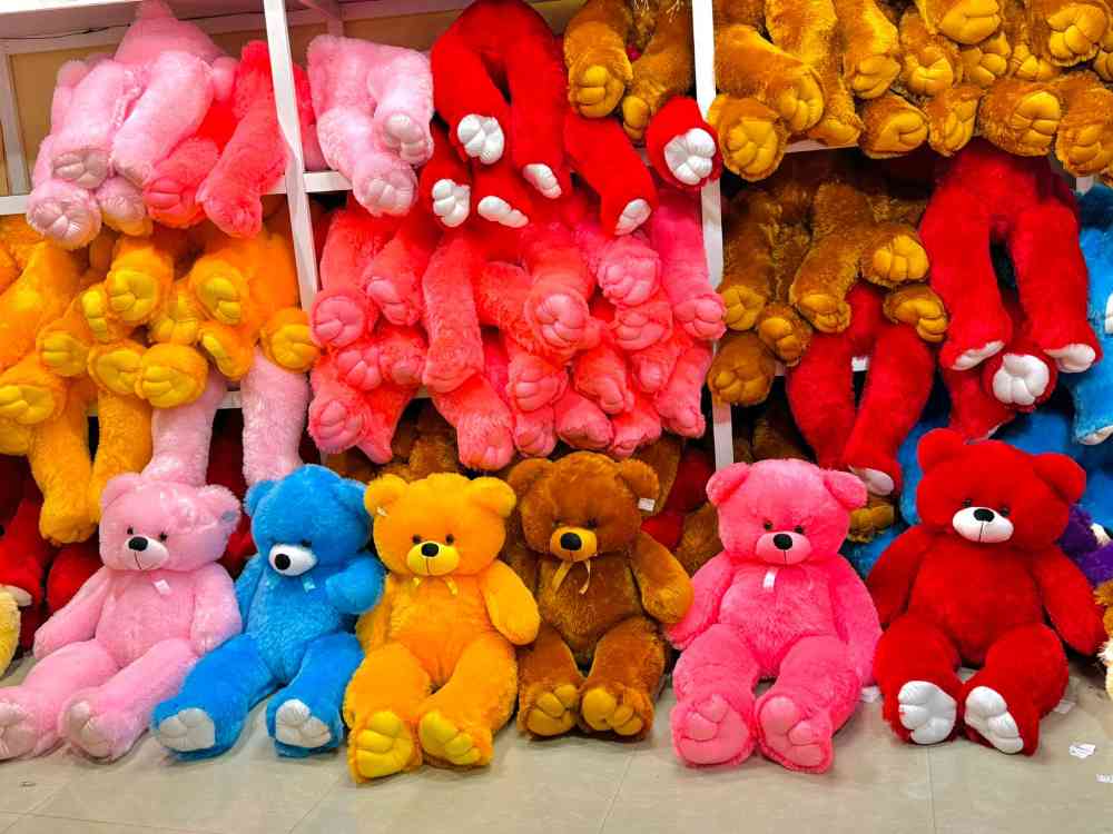 Teddy house
