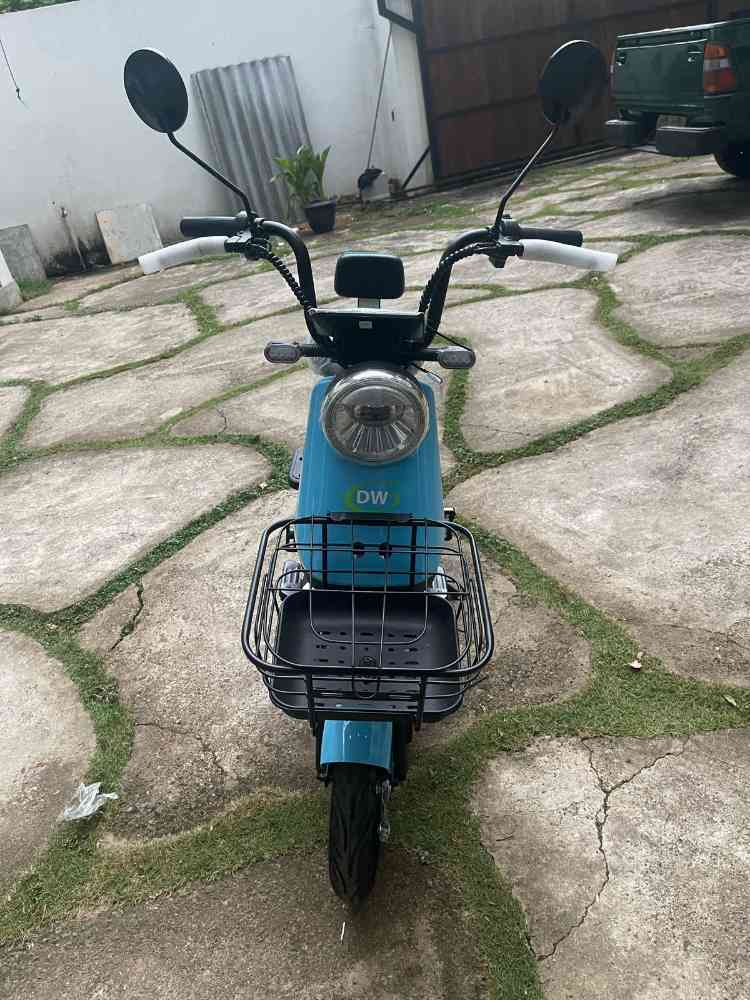 Daywang electric bike