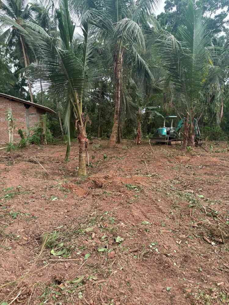 Land for sale