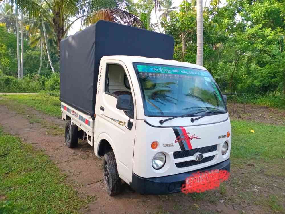 Dimo batta 2012 5 gear push start