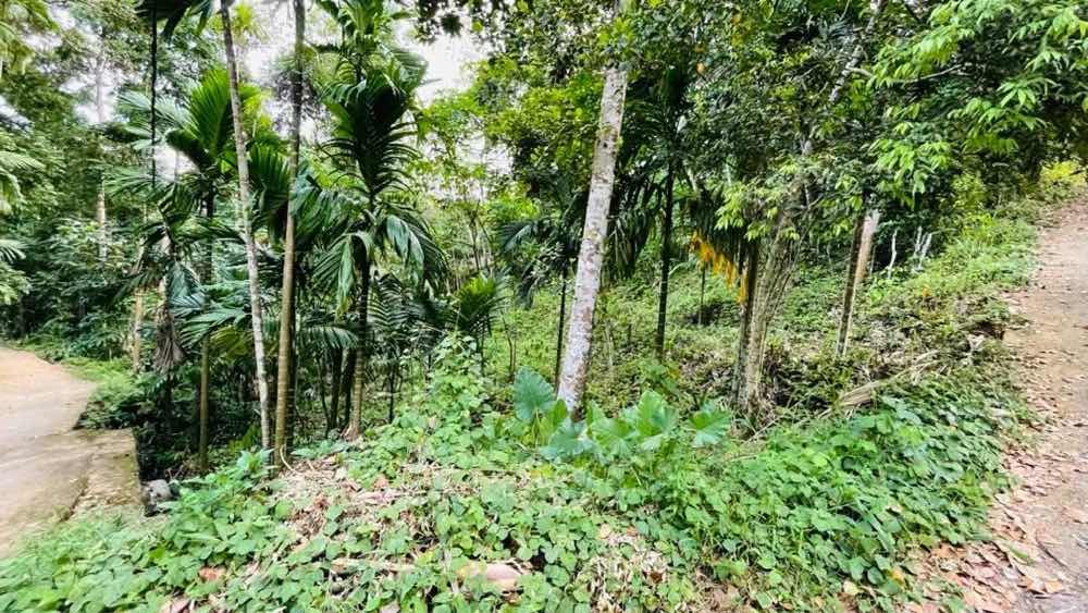 Land for sale in kegalla