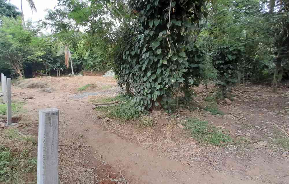 Land for sale in matale