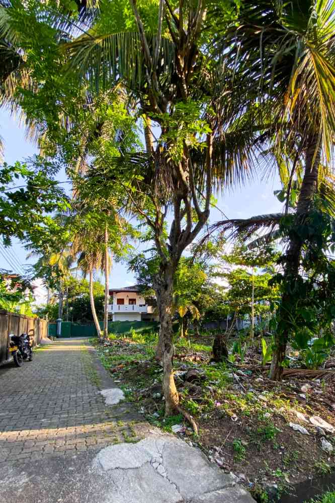 Land in hikkaduwa town