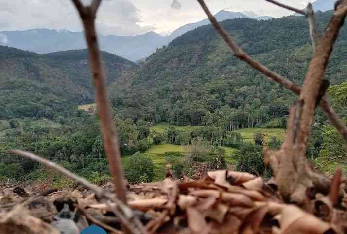 Estate for sale haldumulla haputale