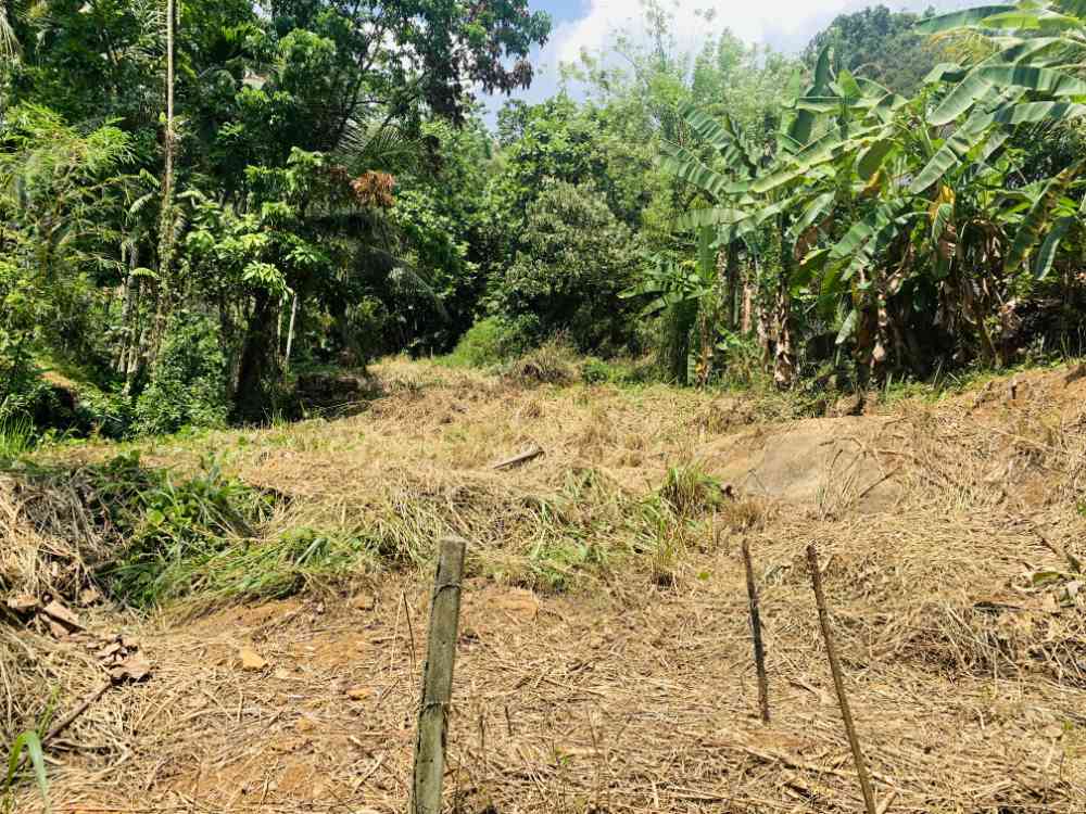 Land for sale pelmadulla