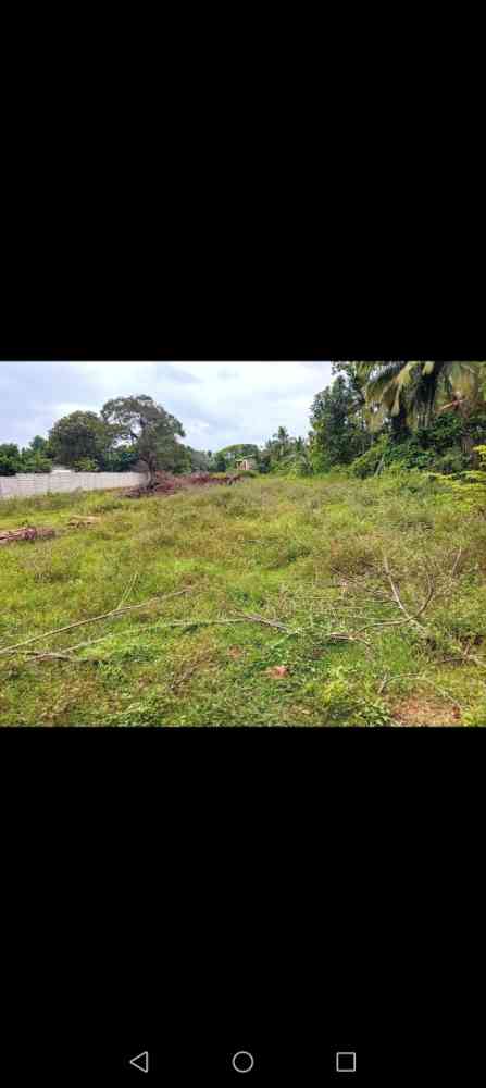 Land for sale in dabulla