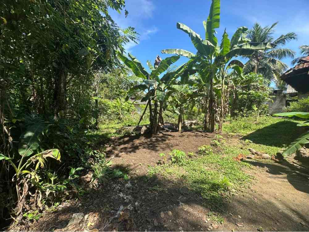 Land for sale in gampaha