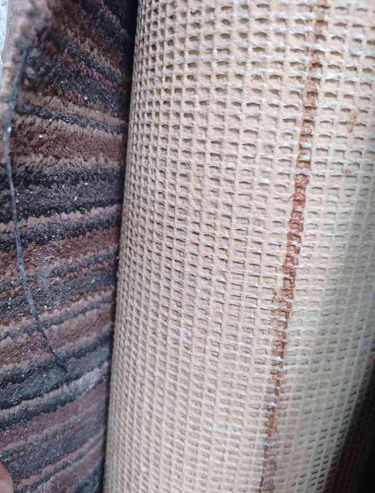 Office carpet 5mm