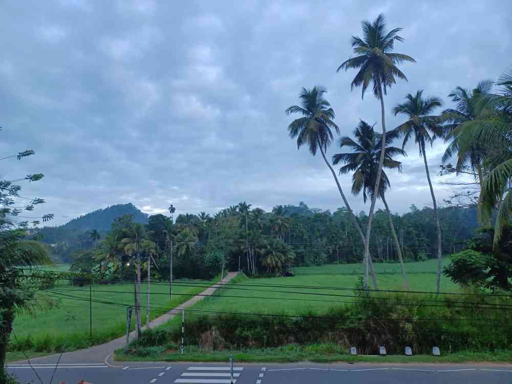 Land for sale in hakmana