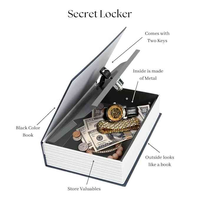 Dictionary book safe