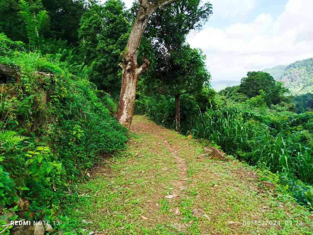 16 Acres land in dedugala
