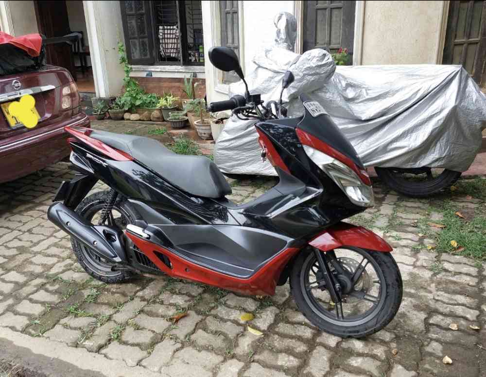 Honda PCX for sale