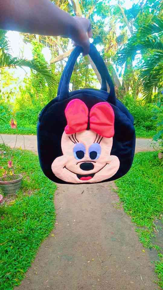 Lunch bag and handbag