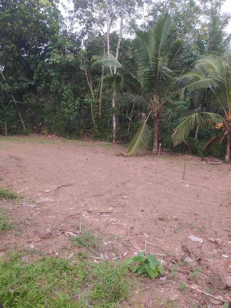 Land for sale in horana