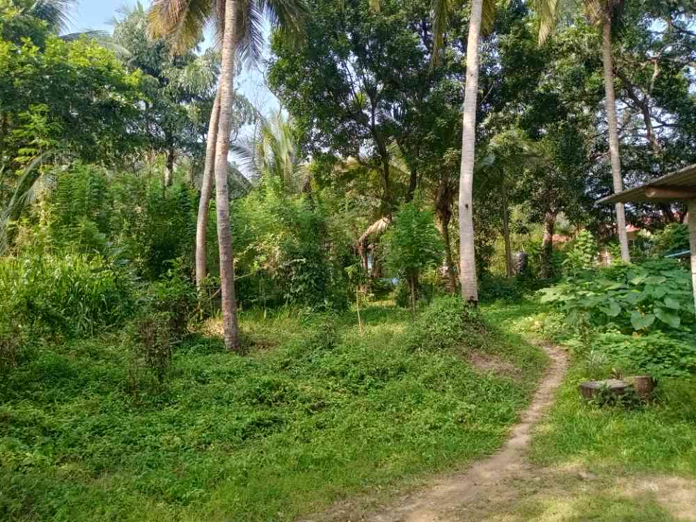 Land for sale with house