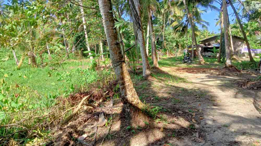 Land for sale