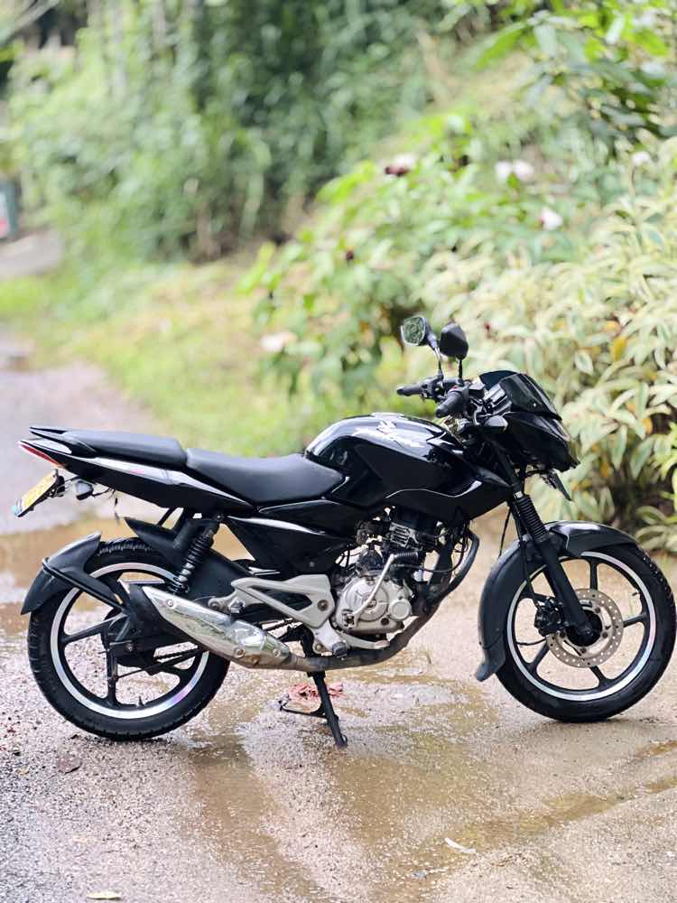 Pulsar 135LS