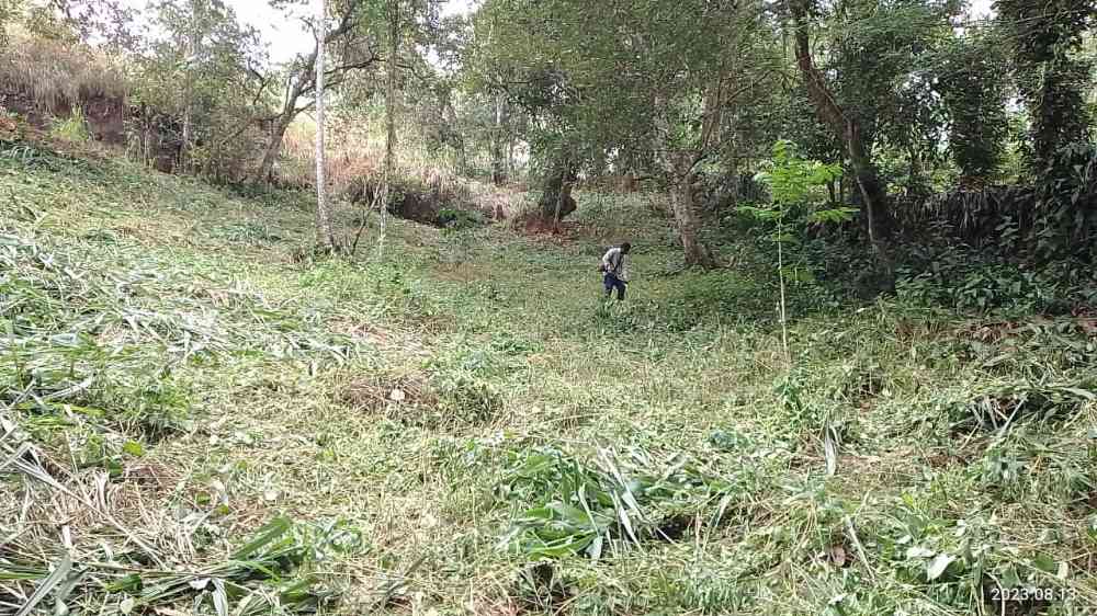 Land for sale in peradeniya
