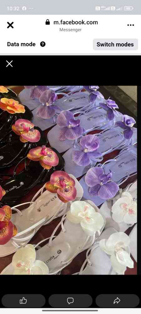 Orchids slippers