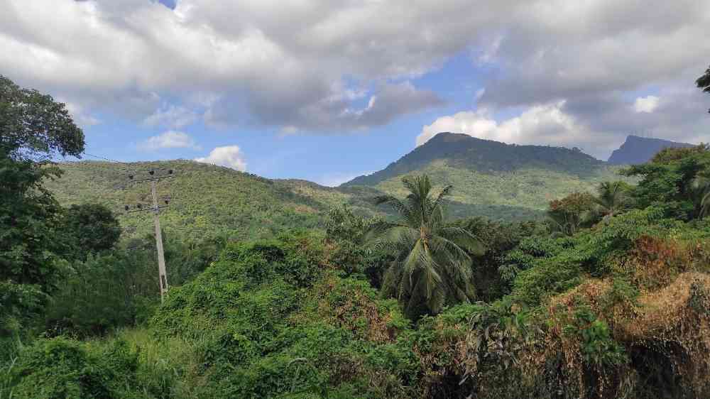 Land for sale in madawala