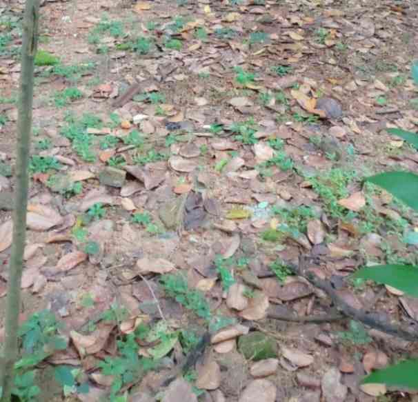 Land for sale aturugiriya