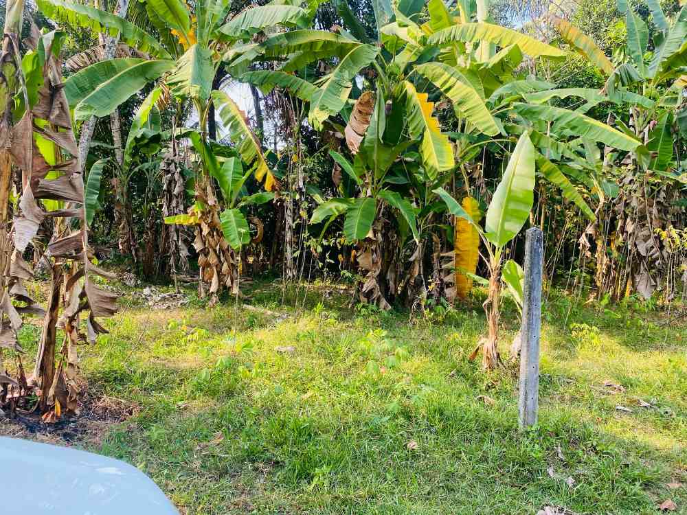 Land for sale in yakkala
