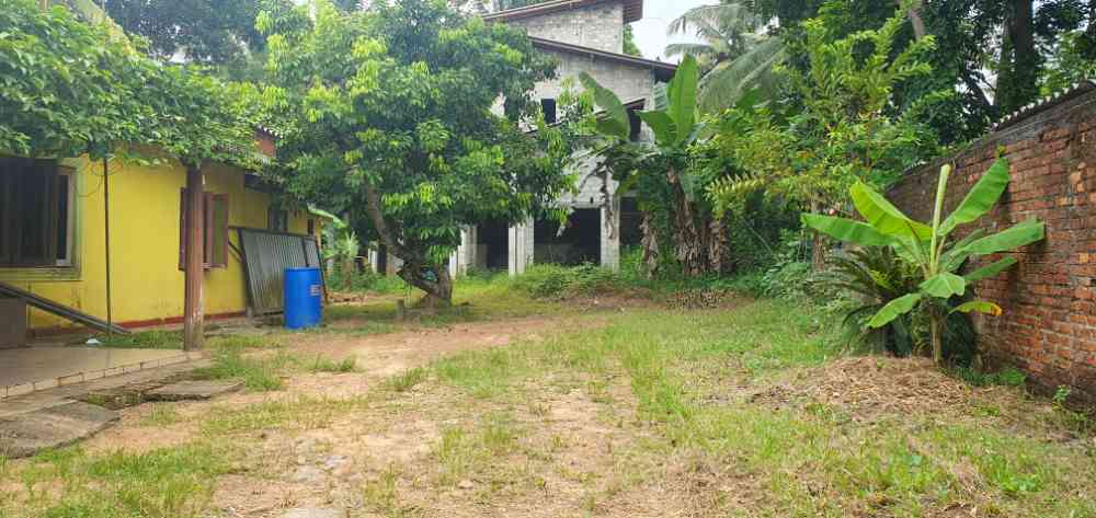 House for immediately sale