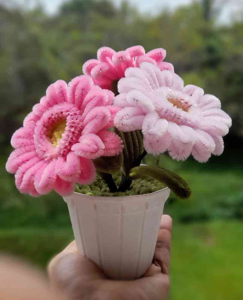 Pipe cleaner flower pot