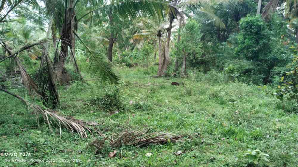 40 Perches land for sale