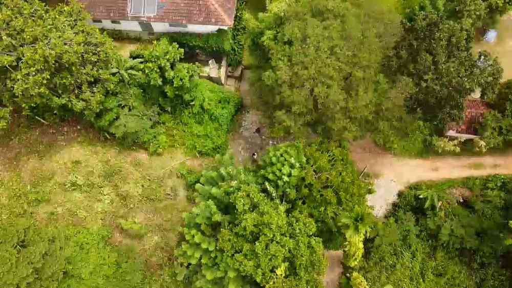 Land for sale in galle